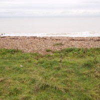 Grassy Beach