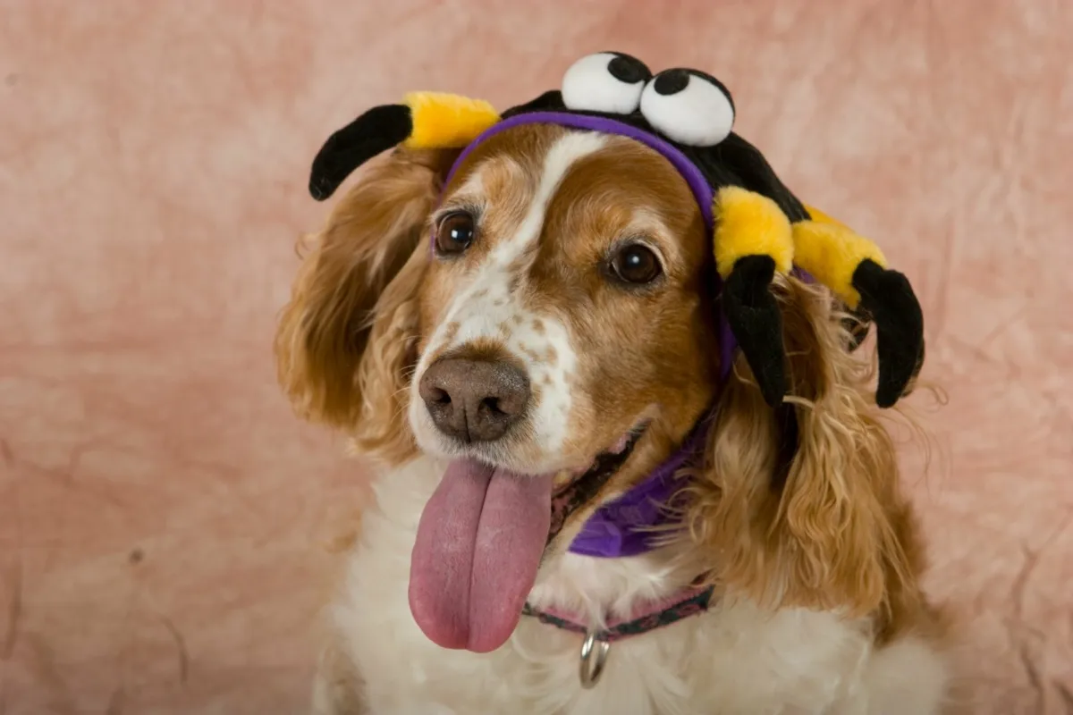 Portraits photography by Simon Wickes